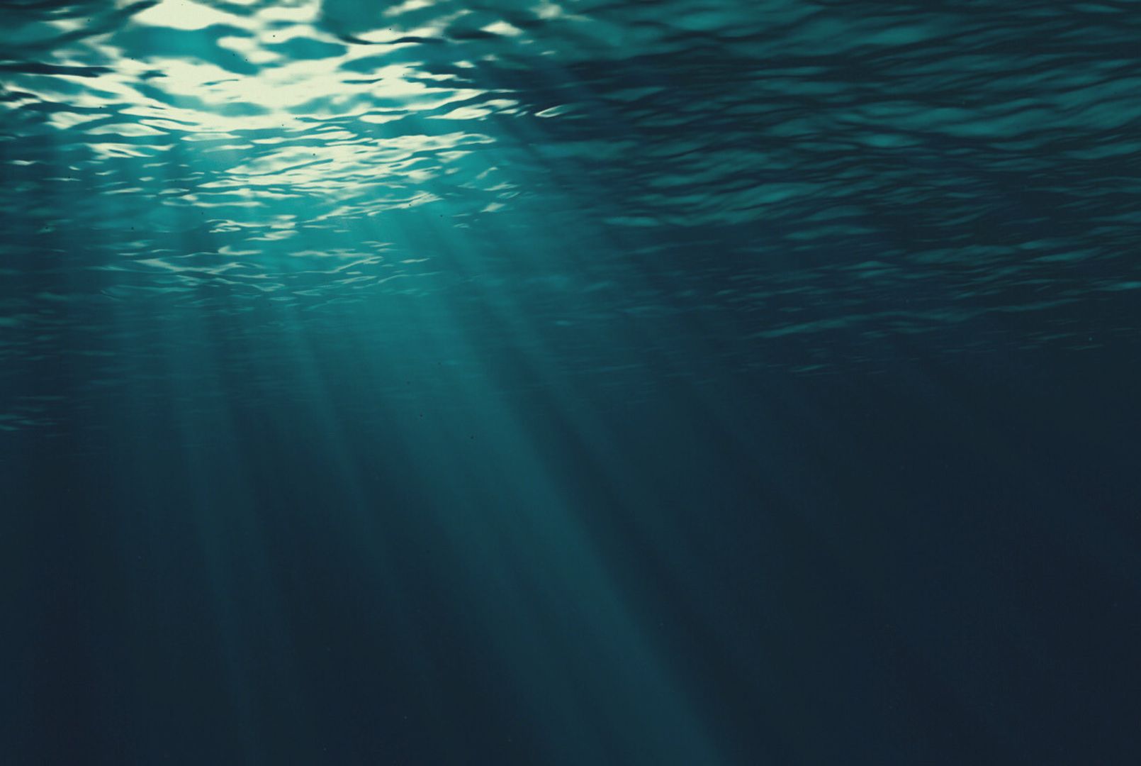 SUBMERSe under water